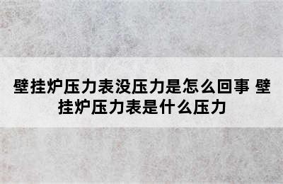 壁挂炉压力表没压力是怎么回事 壁挂炉压力表是什么压力